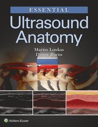Essential Ultrasound Anatomy (häftad)
