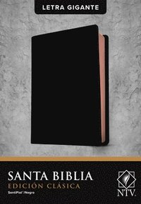 Santa Biblia Ntv, Edición Clásica (inbunden)