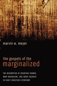 The Gospels of the Marginalized (inbunden)