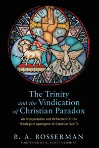 The Trinity and the Vindication of Christian Paradox (inbunden)