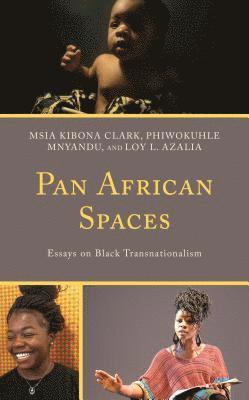 Pan African Spaces (inbunden)