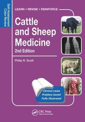 Cattle and Sheep Medicine (hftad)