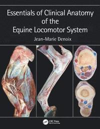 Essentials of Clinical Anatomy of the Equine Locomotor System (inbunden)