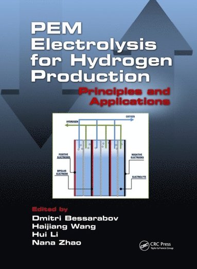 PEM Electrolysis for Hydrogen Production (e-bok)
