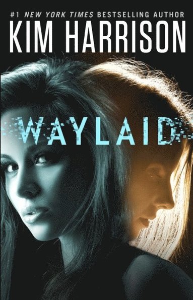 Waylaid (e-bok)