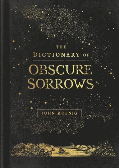Dictionary of Obscure Sorrows (hftad)