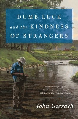 Dumb Luck and the Kindness of Strangers (häftad)