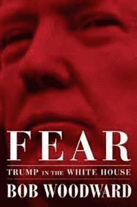 Fear (e-bok)