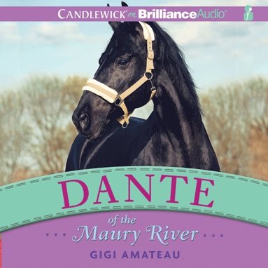 Dante of the Maury River (ljudbok)