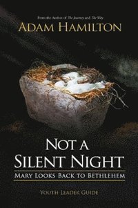 Not a Silent Night Youth Leader Guide (hftad)