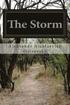 The Storm
