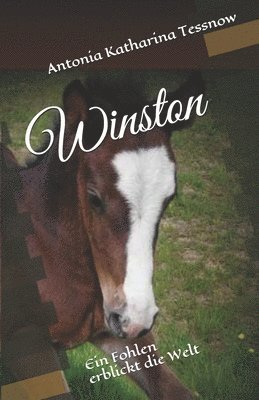 Winston: Ein Fohlen erblickt die Welt (hftad)