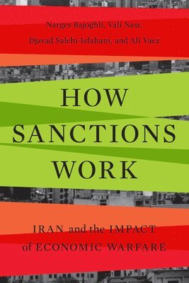 How Sanctions Work (häftad)
