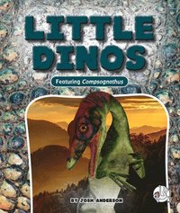 Little Dinos (inbunden)