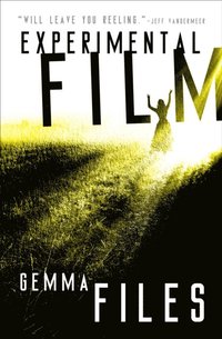 Experimental Film (e-bok)