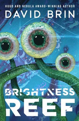 Brightness Reef (hftad)