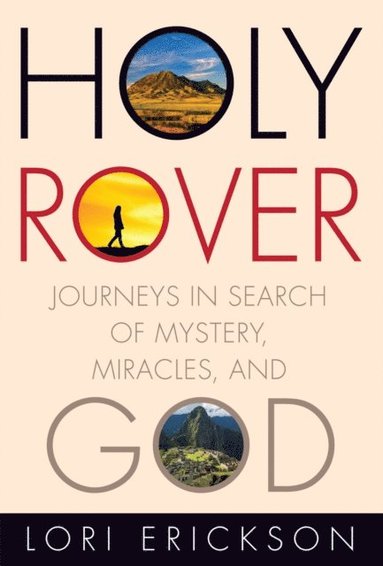 Holy Rover (e-bok)