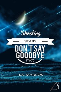 &quote;SHOOTING STARS DON'T SAY GOODBYE&quote; (e-bok)