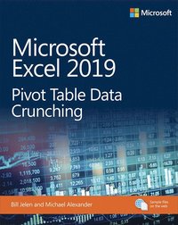Microsoft Excel 2019 Pivot Table Data Crunching (häftad)