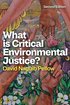 What is Critical Environmental Justice?