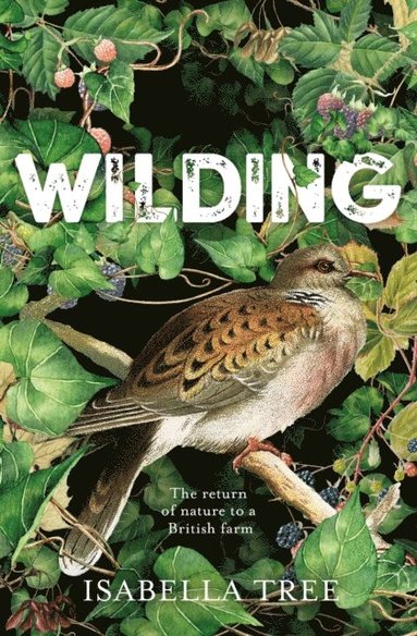 Wilding (e-bok)