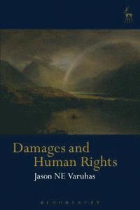 Damages and Human Rights (häftad)