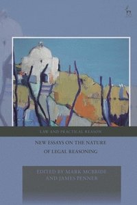 New Essays on the Nature of Legal Reasoning (inbunden)