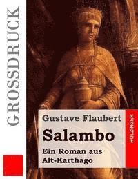 Salambo (Grodruck): Ein Roman aus Alt-Karthago (hftad)