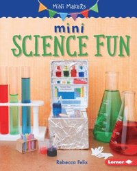 Mini Science Fun (e-bok)
