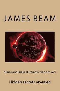 nibiru annunaki illuminati, who are we? (inbunden)