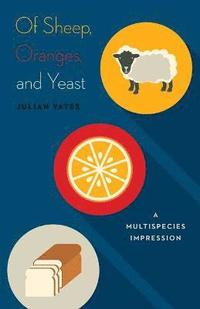 Of Sheep, Oranges, and Yeast (inbunden)
