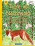 BROCKHAUSEN - Tiere im Nachtwald - Das groe Mal- und Rtselbuch