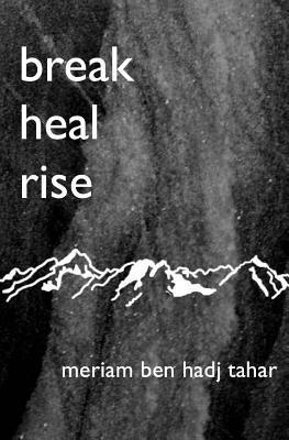 break heal rise (inbunden)
