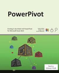 PowerPivot: Einstieg in die Arbeit mit PowerPivot für Microsoft Excel 2013 (häftad)