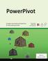 PowerPivot: Einstieg in die Arbeit mit PowerPivot für Microsoft Excel 2010