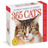 365 Cats Page-A-Day Calendar 2022: The World's Favorite Cat Calendar - Workman Calendars - Page-A-Day (9781523512805) | Bokus