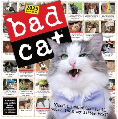 Bad Cat Wall Calendar 2025 (inbunden)