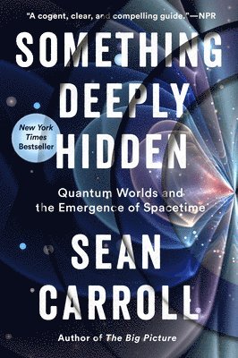 Something Deeply Hidden (inbunden)