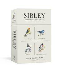 Sibley Birds Of Land, Sea, And Sky (hftad)