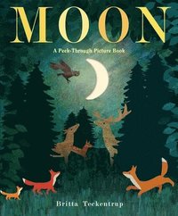 Moon: A Peek-Through Picture Book (inbunden)