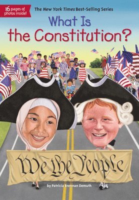 What Is the Constitution? (h�ftad)