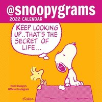 Peanuts 2022 Mini Wall Calendar: @Snoopygrams - Peanuts Worldwide Llc, Charles M Schulz - Mini (9781524863814) | Bokus
