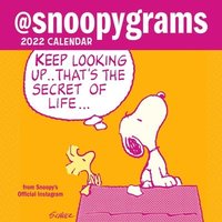Peanuts 2022 Mini Wall Calendar: @Snoopygrams - Peanuts Worldwide Llc, Charles M Schulz - Mini (9781524863814) | Bokus