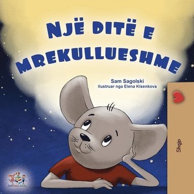 A Wonderful Day (Albanian Book for Kids) (inbunden)