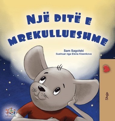 A Wonderful Day (Albanian Book for Kids) (h�ftad)