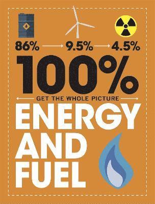 100% Get the Whole Picture: Energy and Fuel (inbunden)