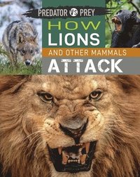 Predator vs Prey: How Lions and other Mammals Attack (hftad)