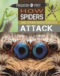 Predator vs Prey: How Spiders and other Invertebrates Attack (inbunden)