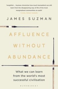 Affluence Without Abundance (häftad)