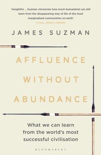 Affluence Without Abundance (e-bok)